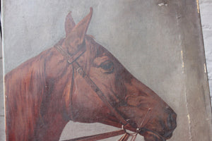 A Good Oil on Canvas Study of a Horse’s Head, Dated 1912