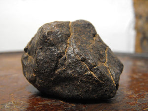 Geological: A Fascinating Specimen of the NWA 869 L-Chondrite Meteorite