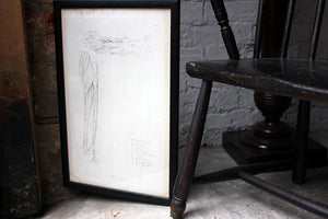 Framed Plate No.20; Anatomical Studies of Bones & Muscles, for the use of Artists; Flaxman/Landseer c.1833