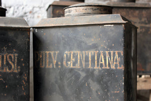 A Decorative Set of Five 19thC Black-Painted Toleware Apothecary Canisters