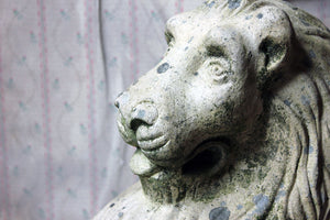 An Attractive & Highly Stylised Early 20thC Terracotta Seated Lion c.1910