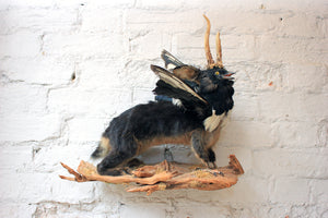 An Absurd Mid 20thC Taxidermy Freak; Being Part Polecat, Magpie & Roe Deer