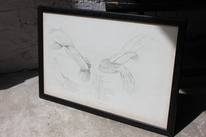 Framed Plate No.8; Anatomical Studies of Bones & Muscles, for the use of Artists; Flaxman/Landseer c.1833